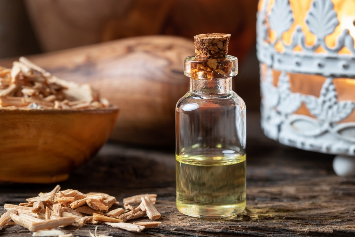 lemn de cedru parfum